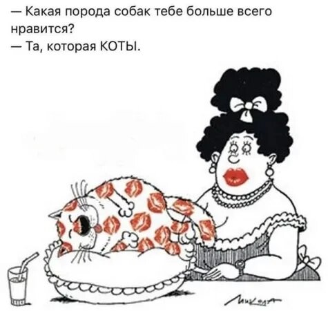 Из интернета