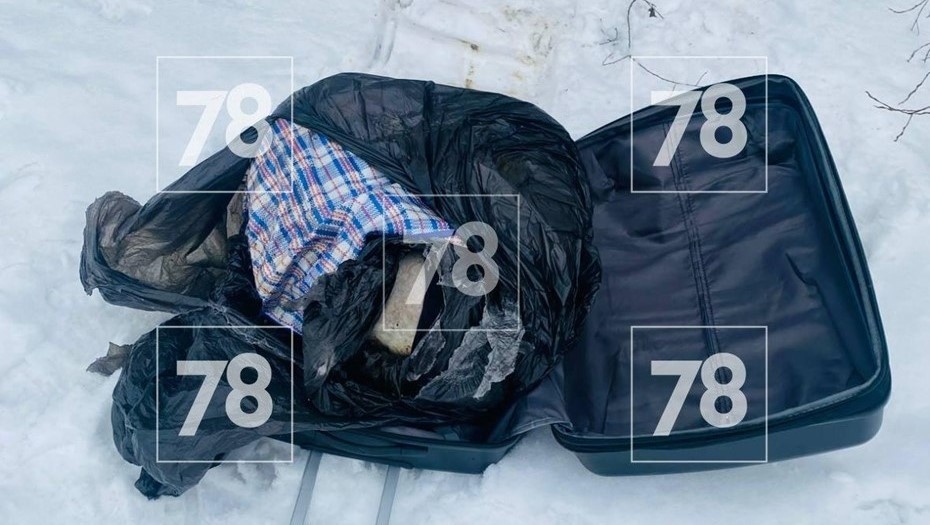    Автор фото: 78.ру