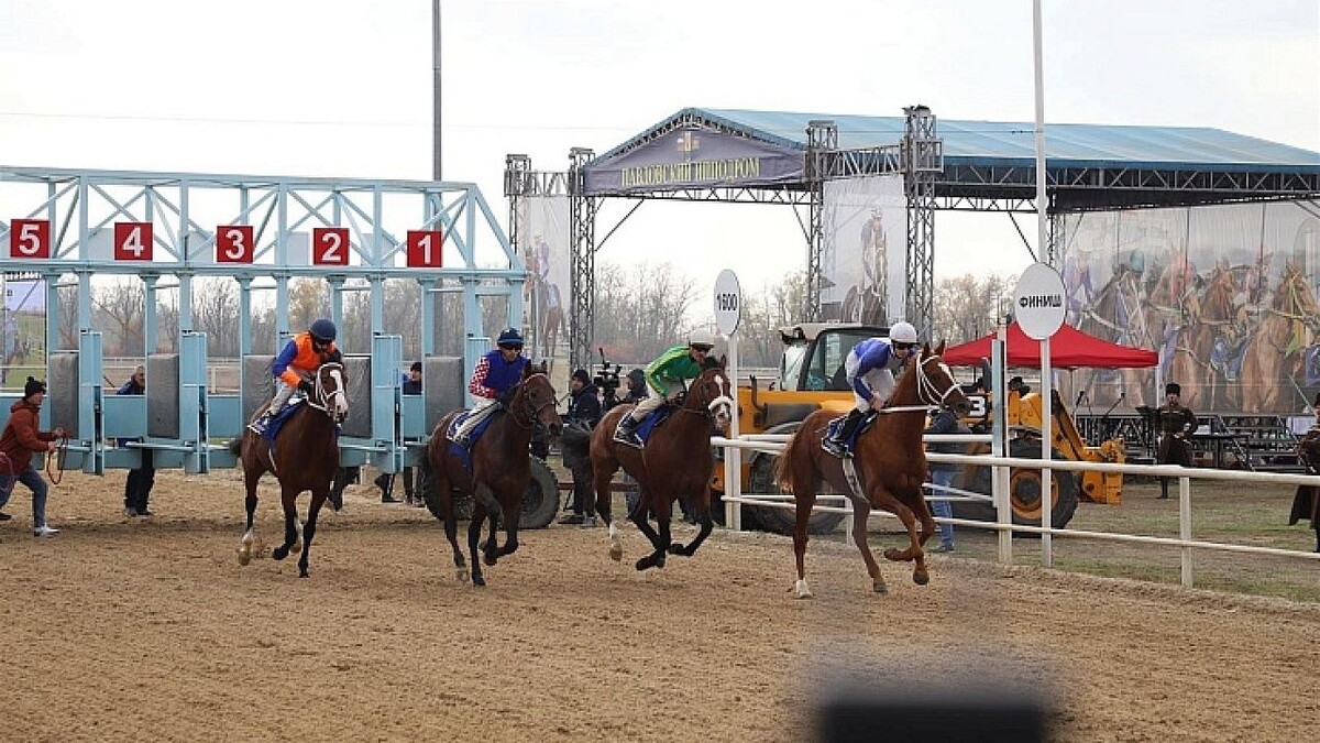    Фото: пресс-служба Законодательного Собрания Краснодарского края