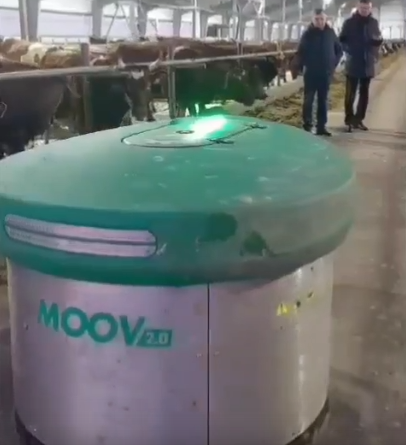    Кадр из видео.