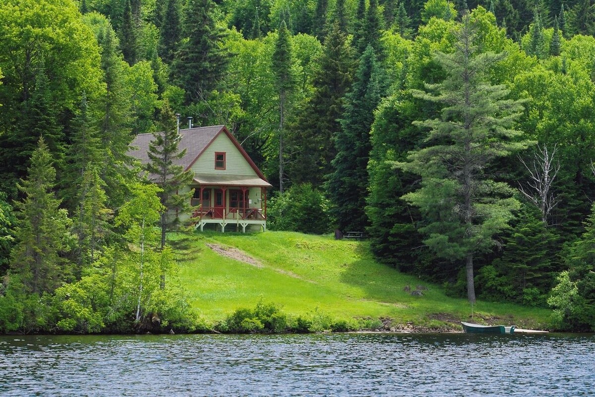 Фото из интернета. Признавайтесь. Купили бы?