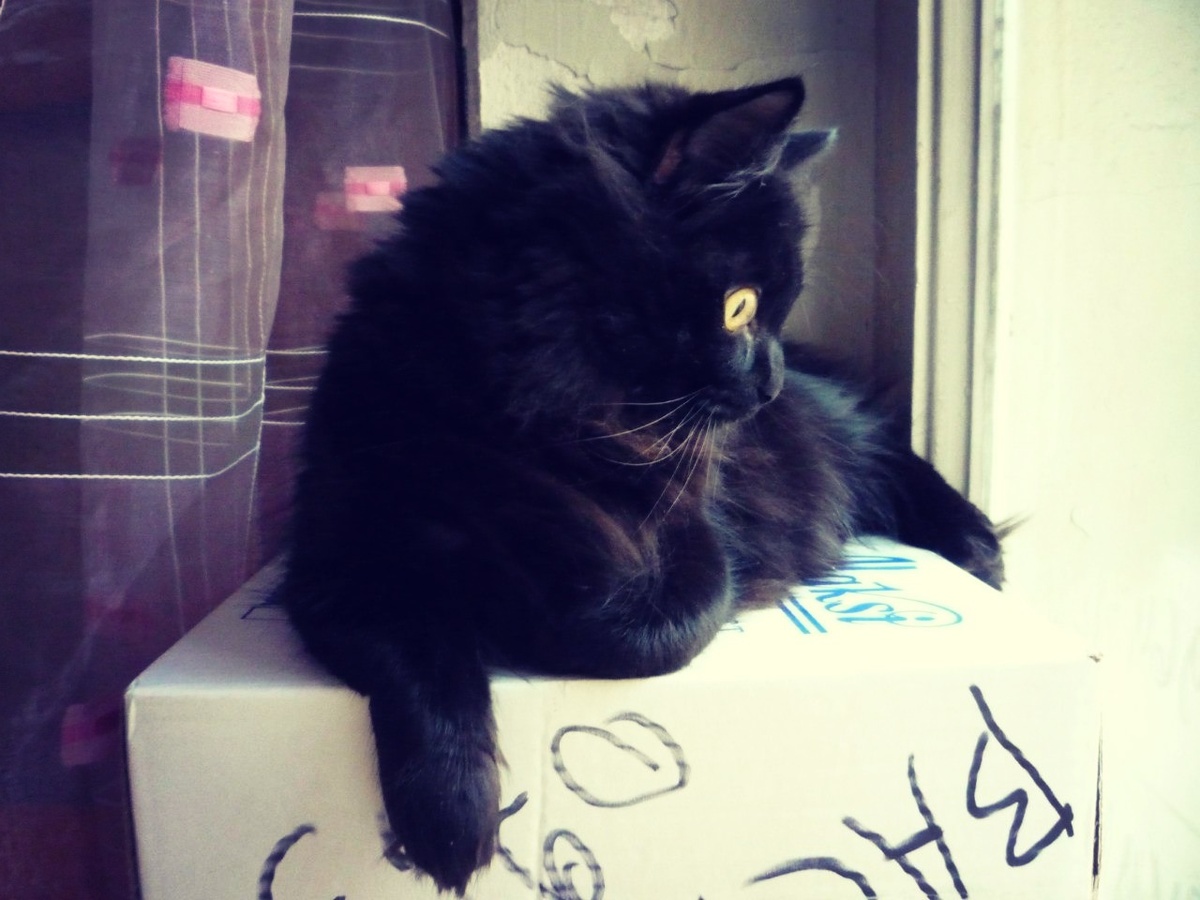 Джаз. 2016 год