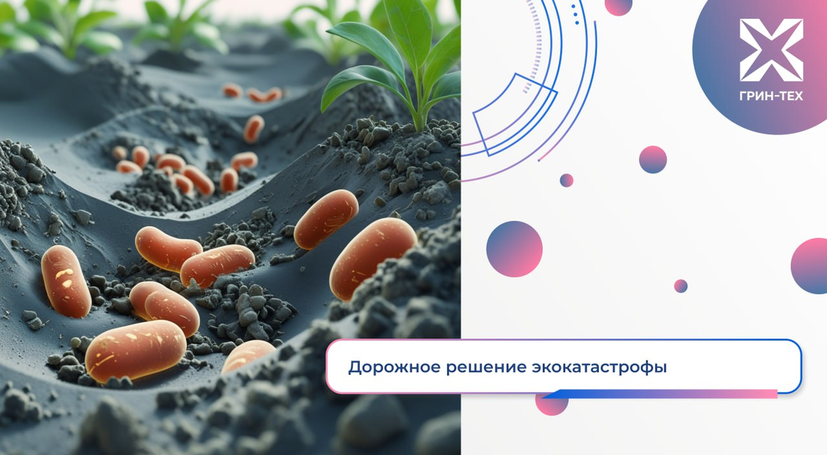 Фото из телеграм канала Грин-тех