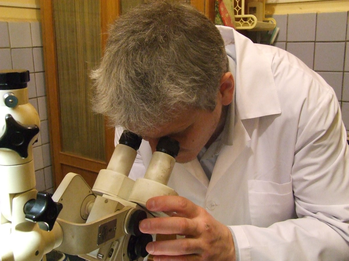 За операционным бинокуляром