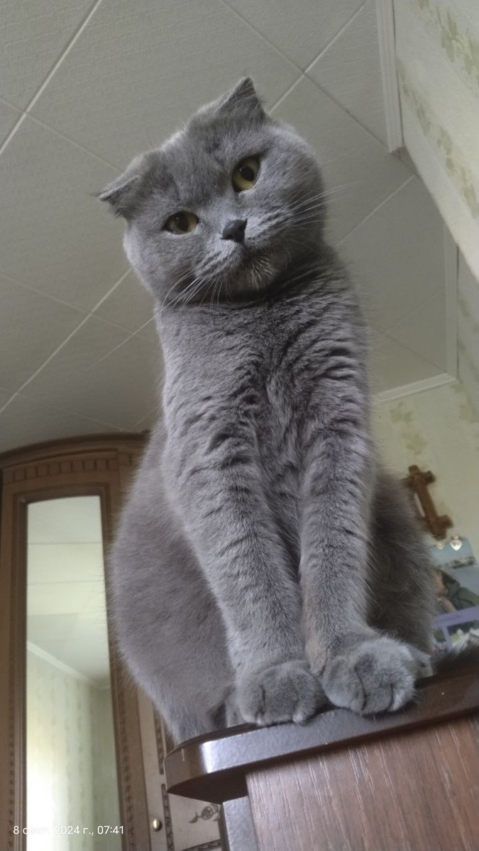 "Наташ, ты спишь? Уже 6 часов утра, Наташ!"