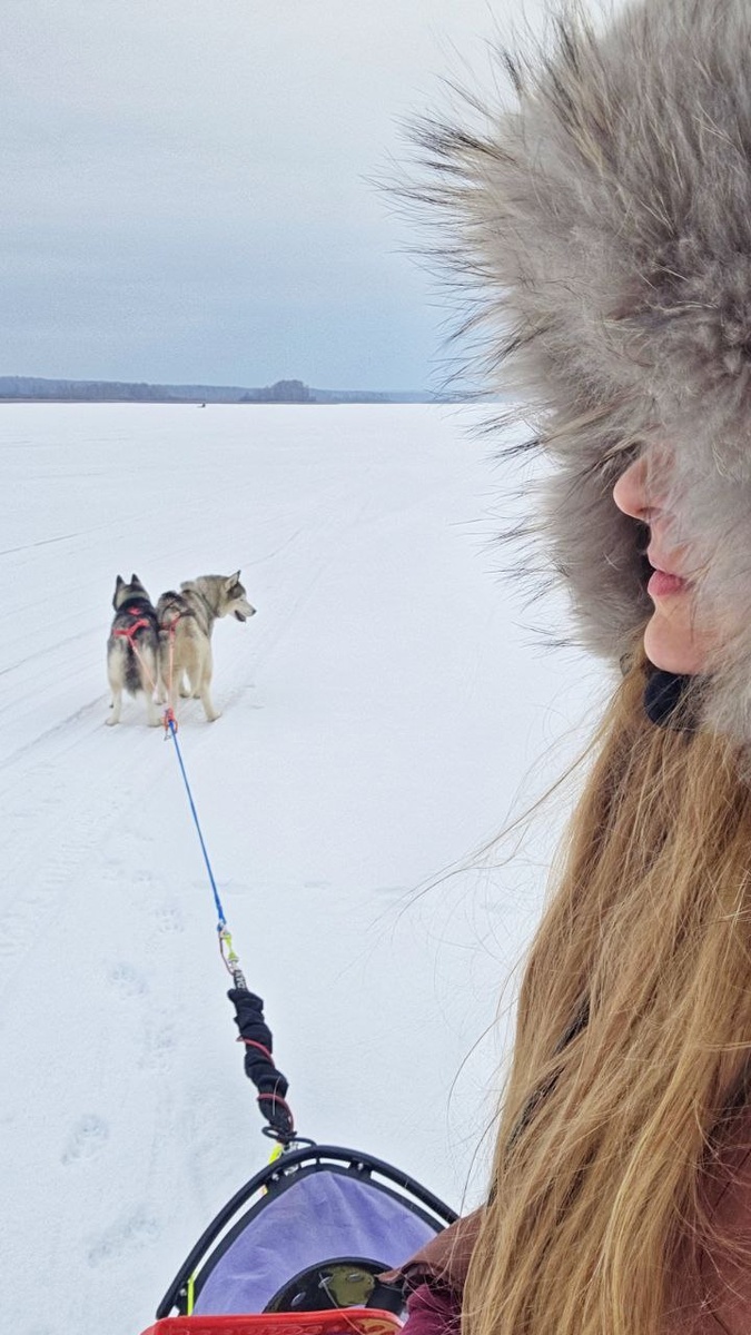 Сосиска - чёрная, Штурм - серый