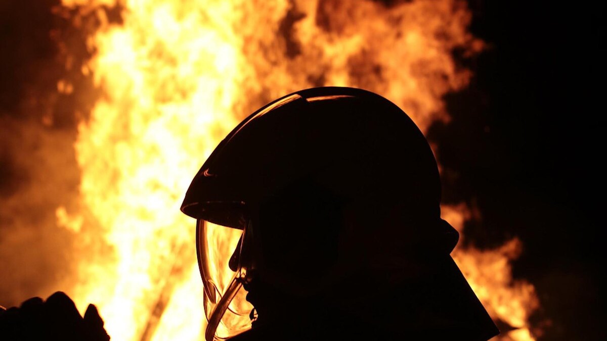 Фото: pixabay.com