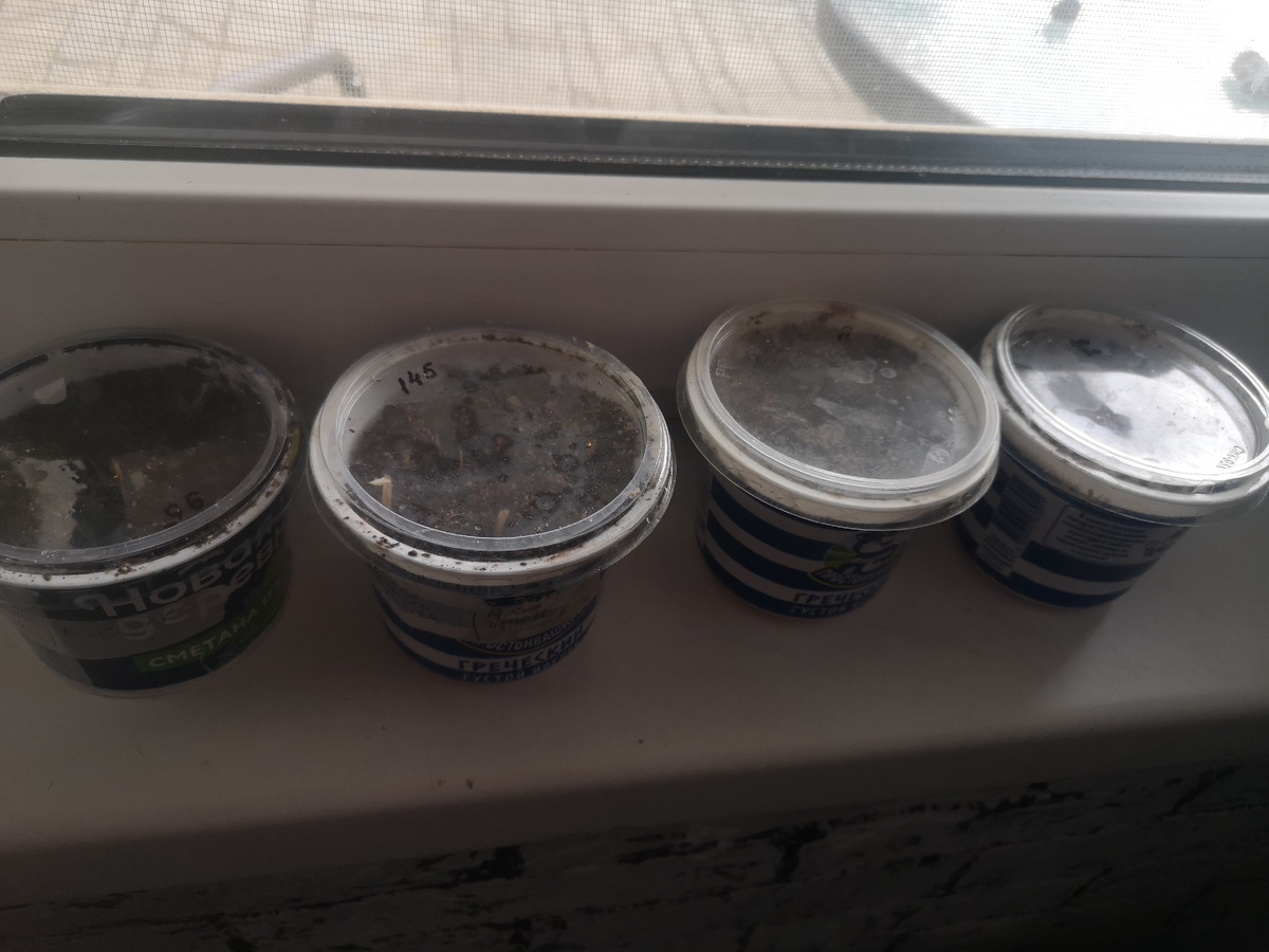 Ещё часть коробочек на другом окне