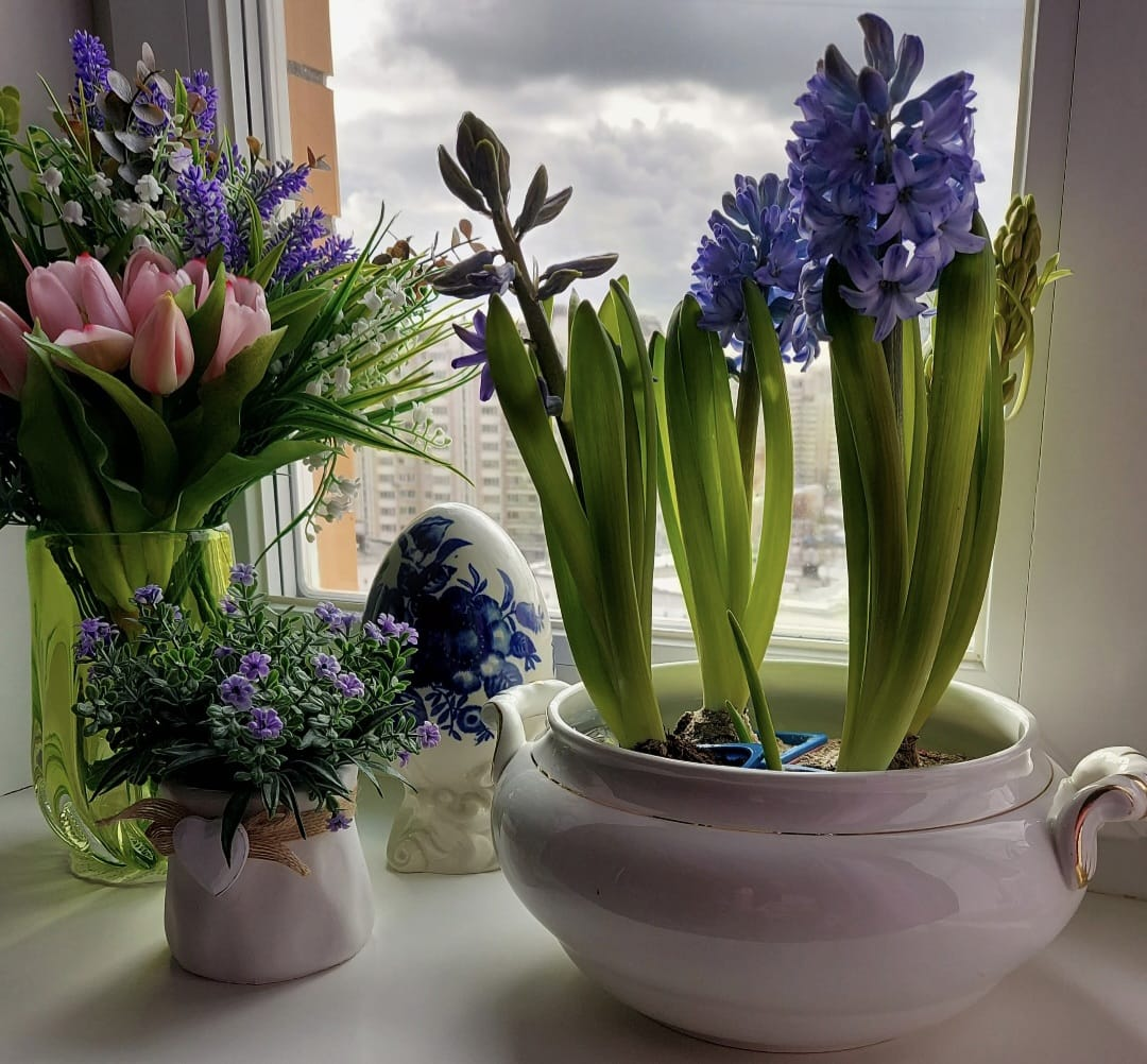 Личная фотография автора канала.