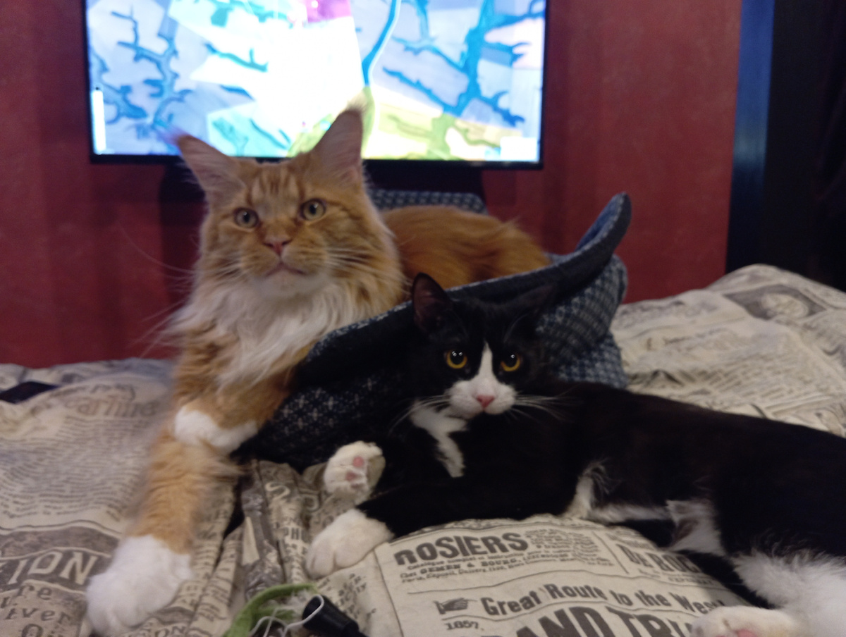 Степан и Александр.