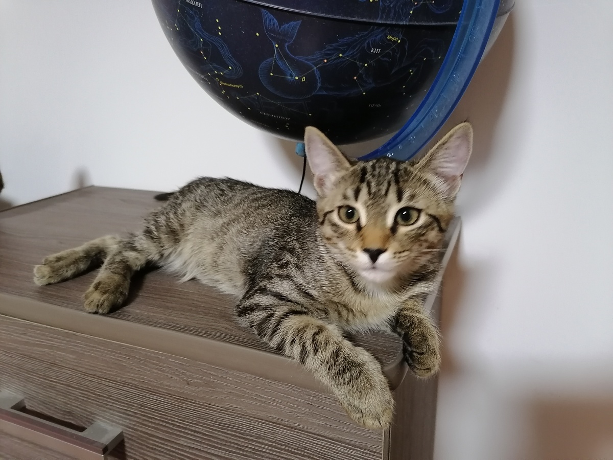 Фото автора