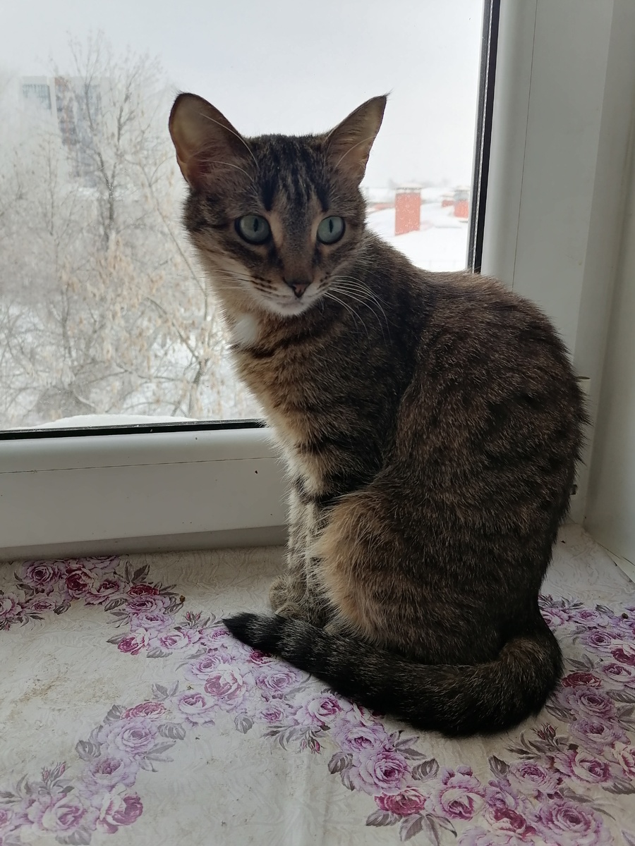 Фото автора