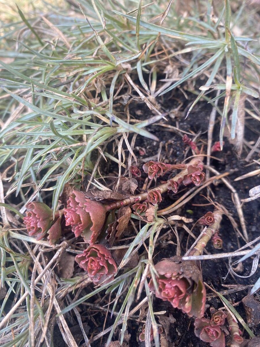 1 марта Подмосковье