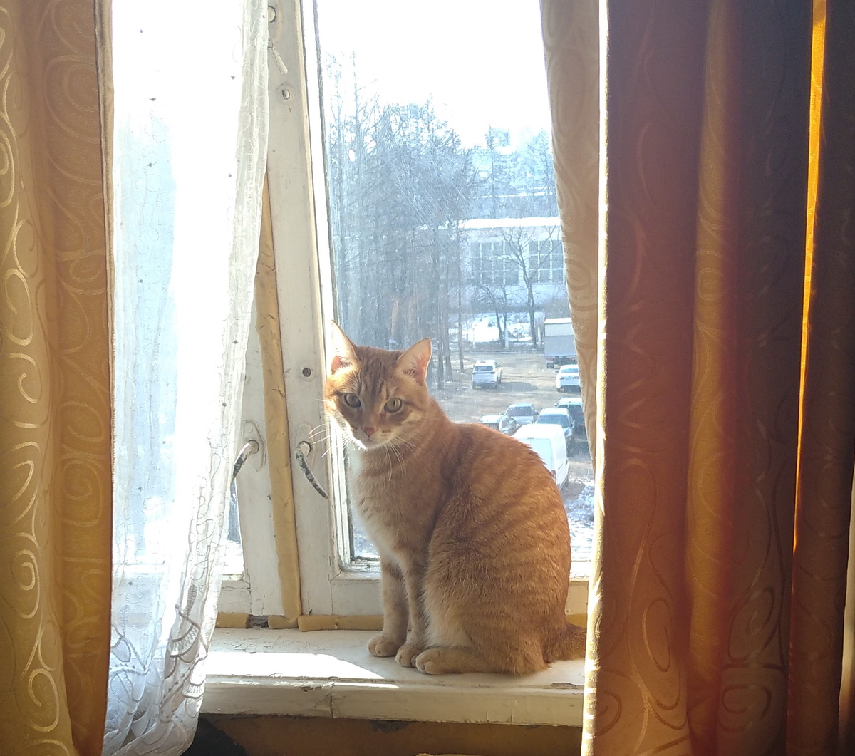 Личное фото