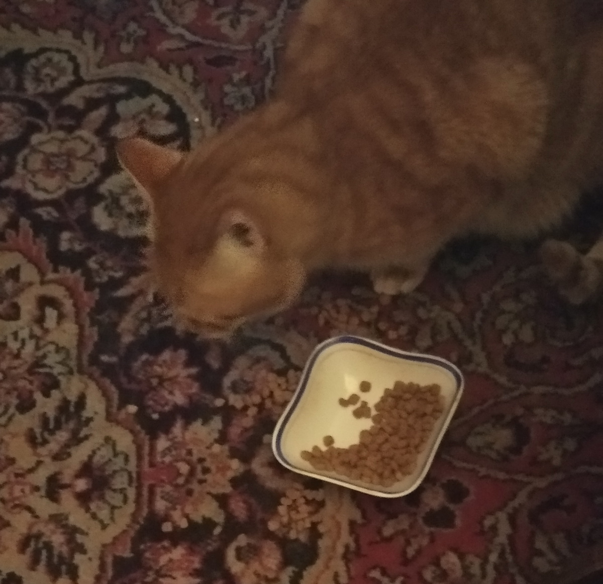 Личное фото