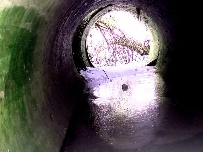 Свет в конце туннеля. Фото автора.