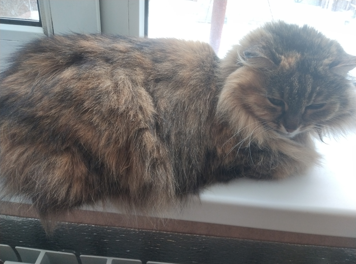 Весна на носу.