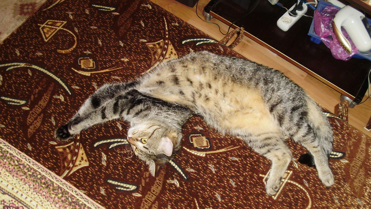 Фото автора