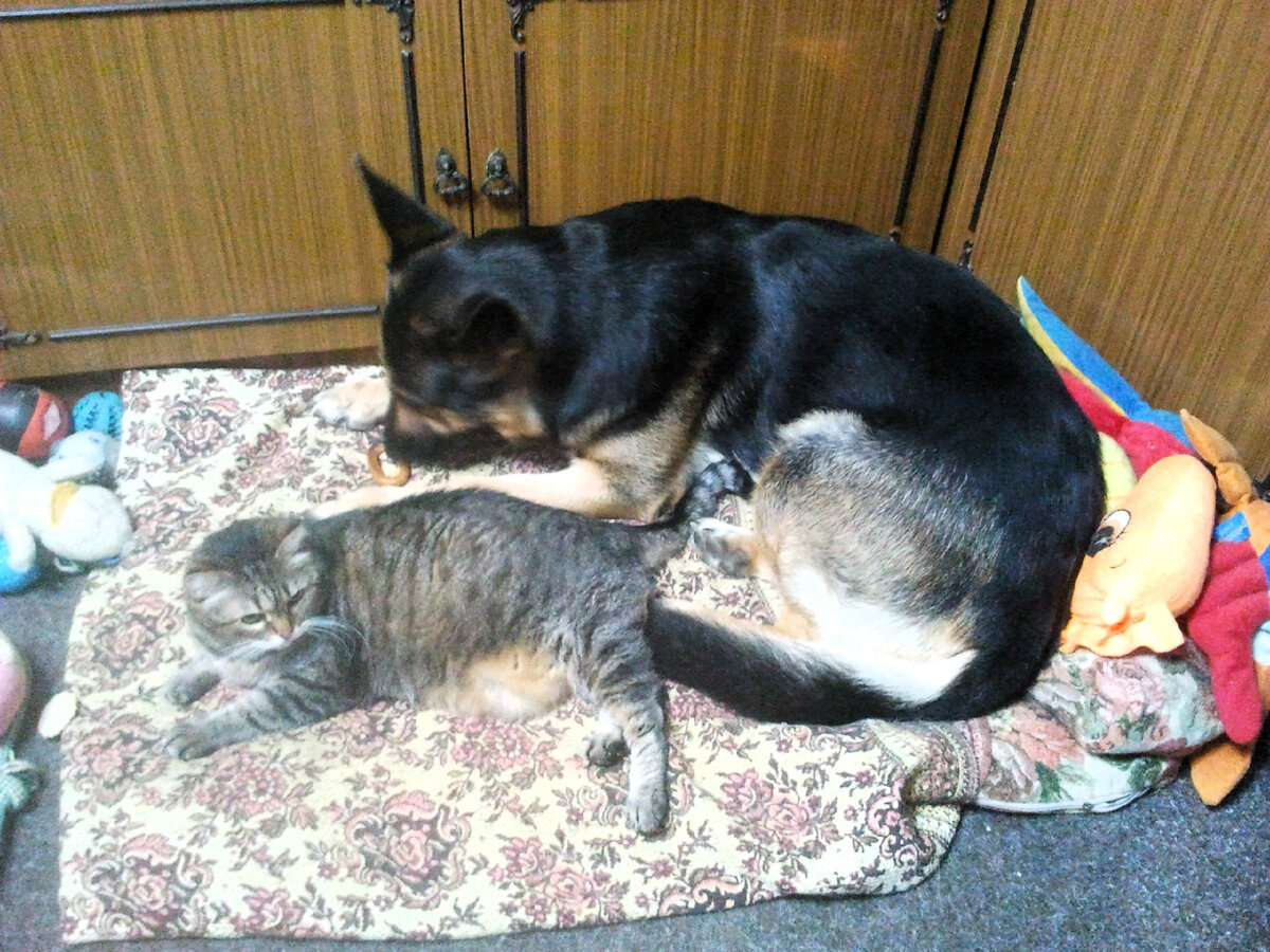 Фото автора