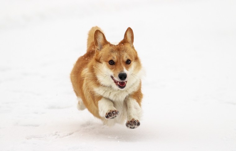    Сергей Булкин/NEWS.ru