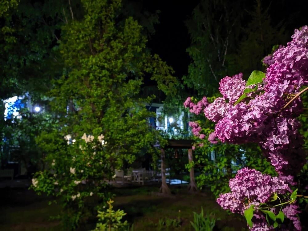 фото из интернета