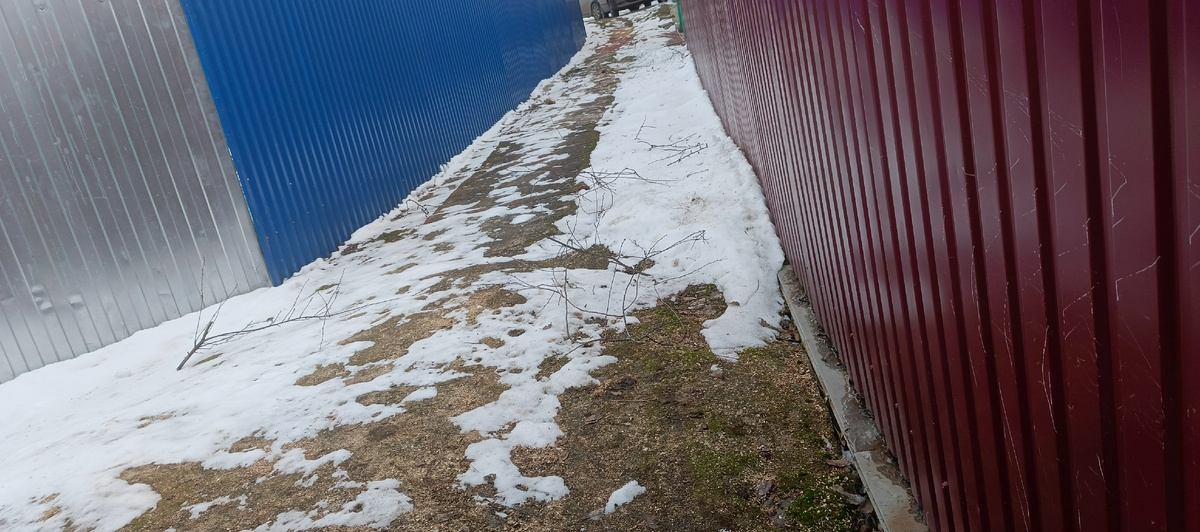 Идти и так тяжело, а теперь еще и страшно споткнуться об ветки вишни. Они же длинные и тонкие 