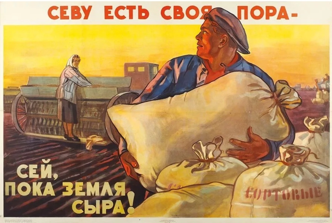 Фото из открытого источника