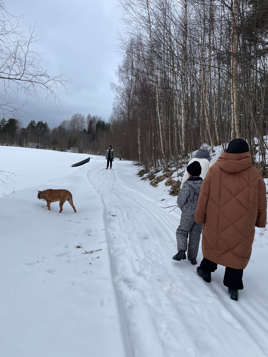 На приближение - брат, собака, мама, дочь, жена брата)