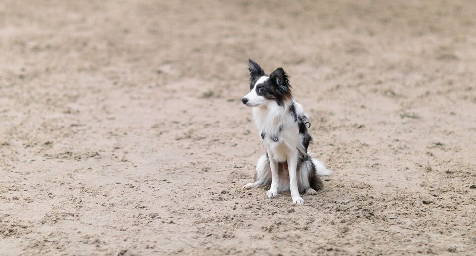    Медиасток.рф