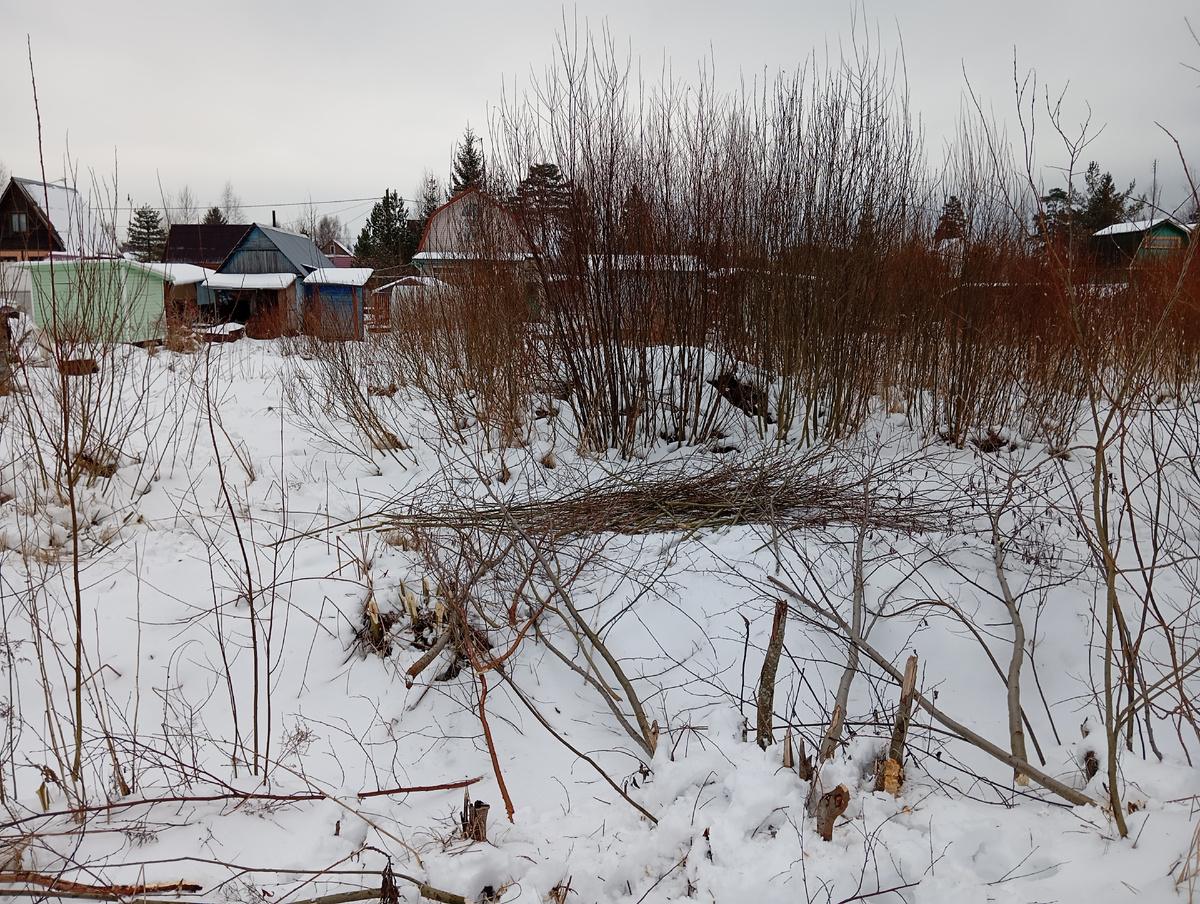 Заветные 6 соток))) 