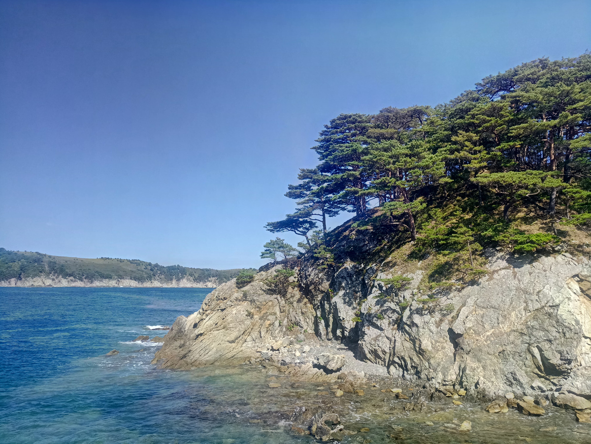 Полуостров Гамова