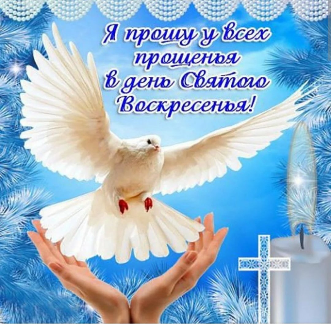 Фото из свободного доступа интернета