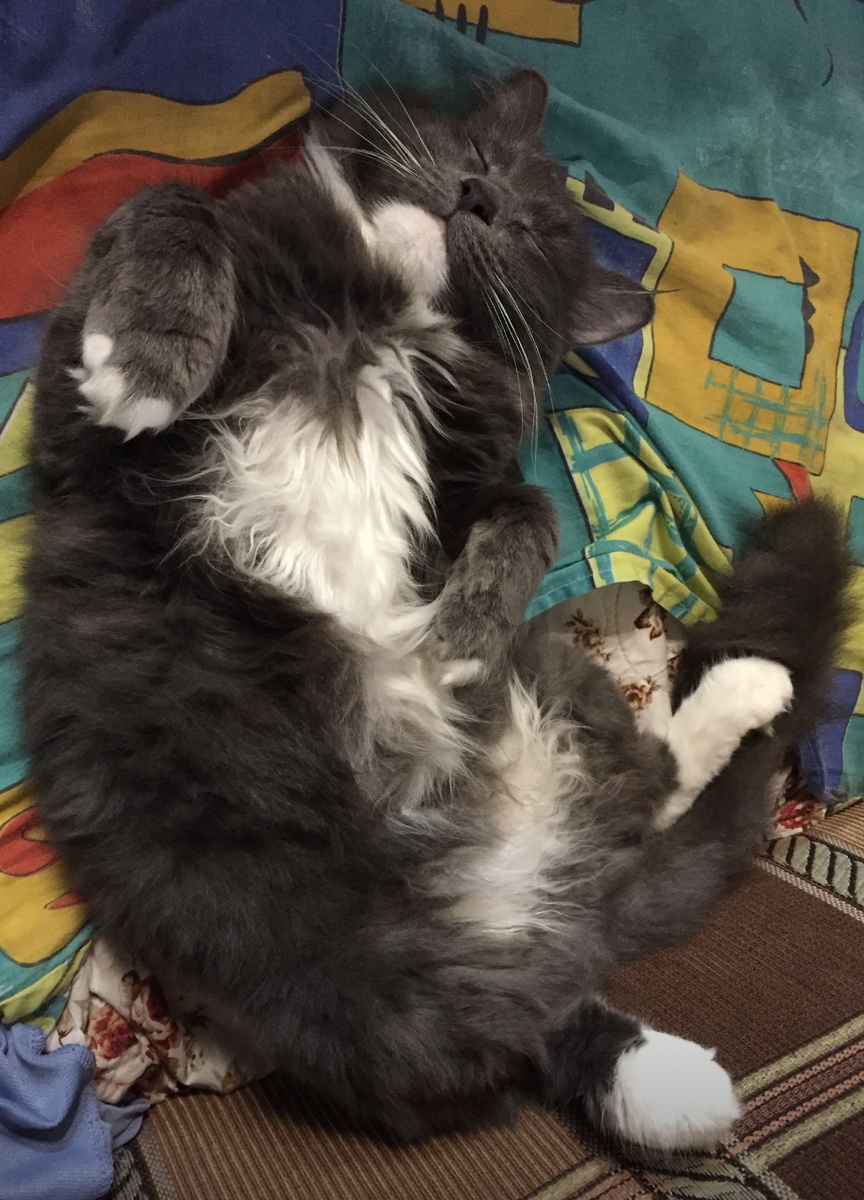 Наш Сэм, Сёмка, Семён))