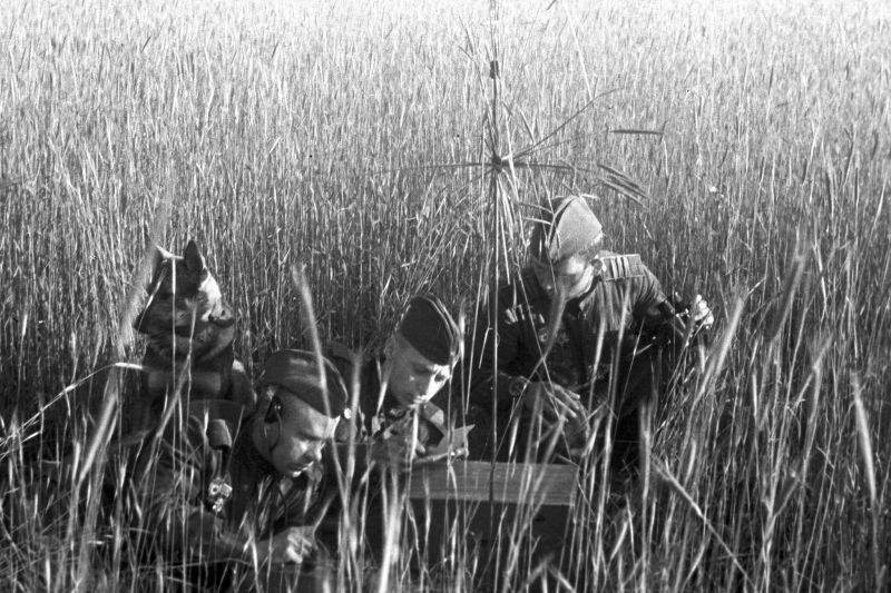 Советские гвардейцы за работой в поле.