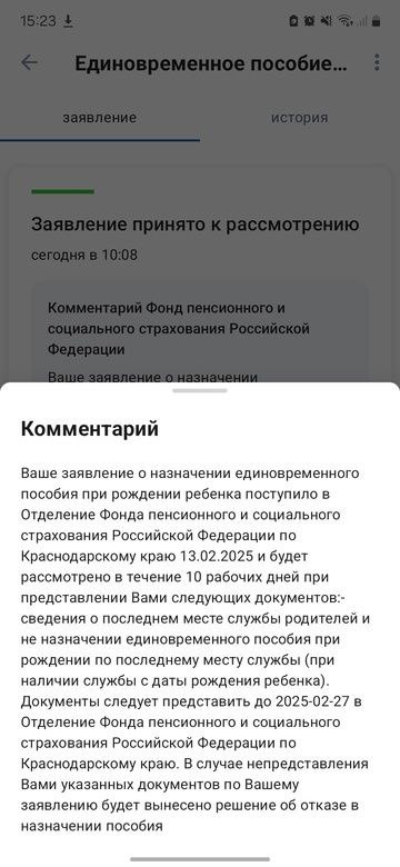 Уведомление с Госуслуг при подаче на единоразовое пособие