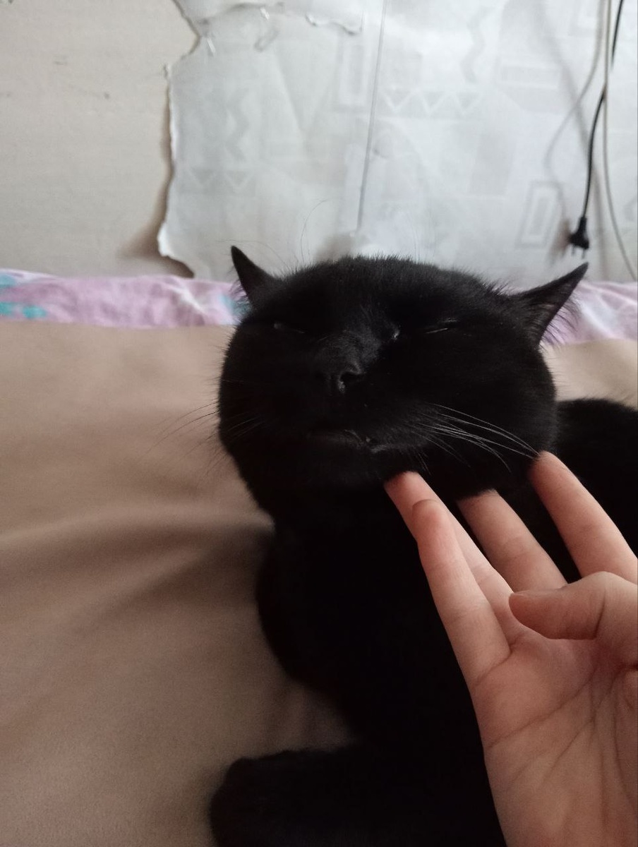 Фото автора.