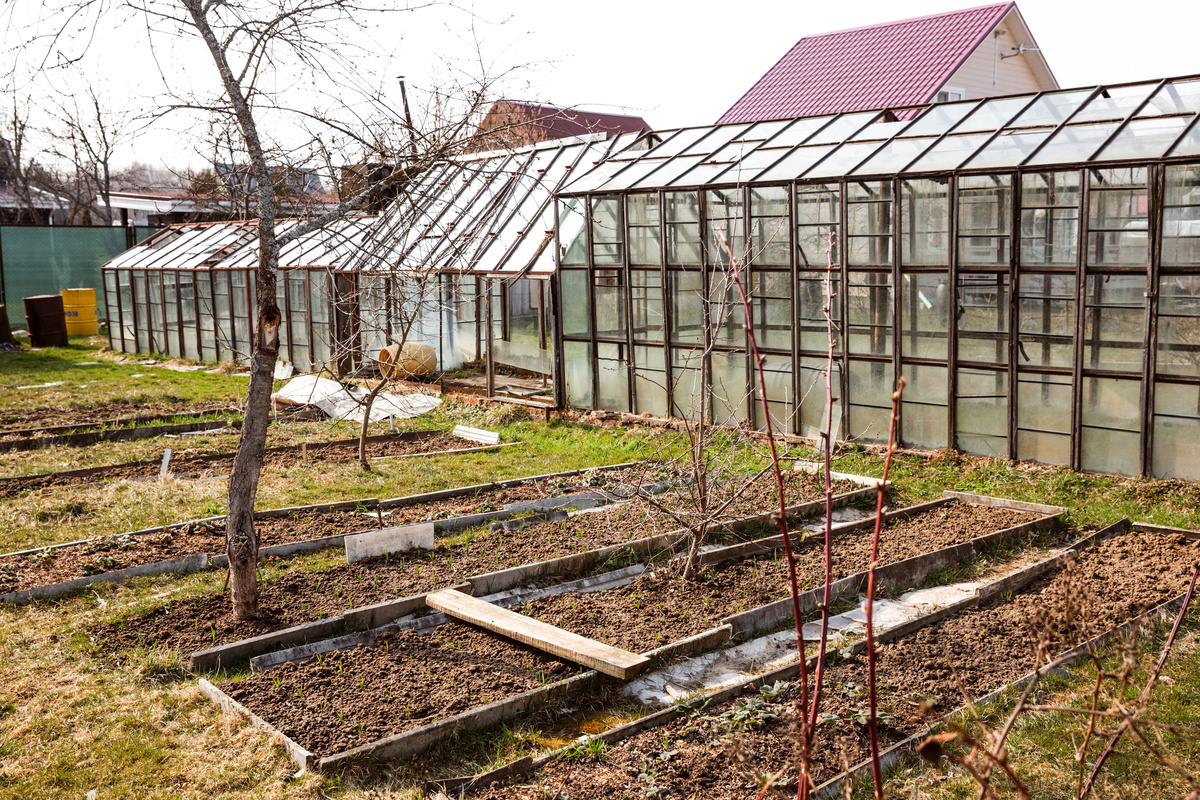     / Gettyimages.ru / Anastasia Dobrusina