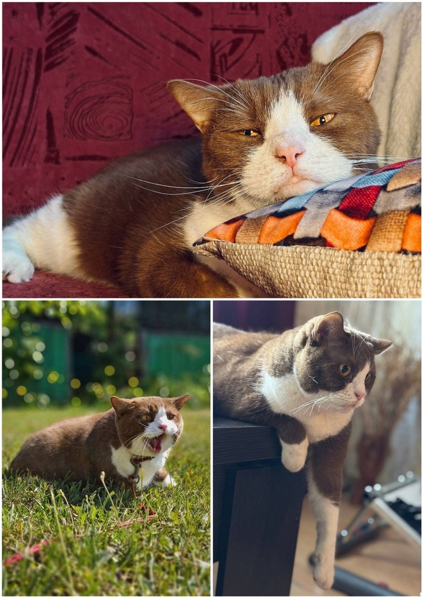 Листайте вправо, чтобы увидеть больше изображений