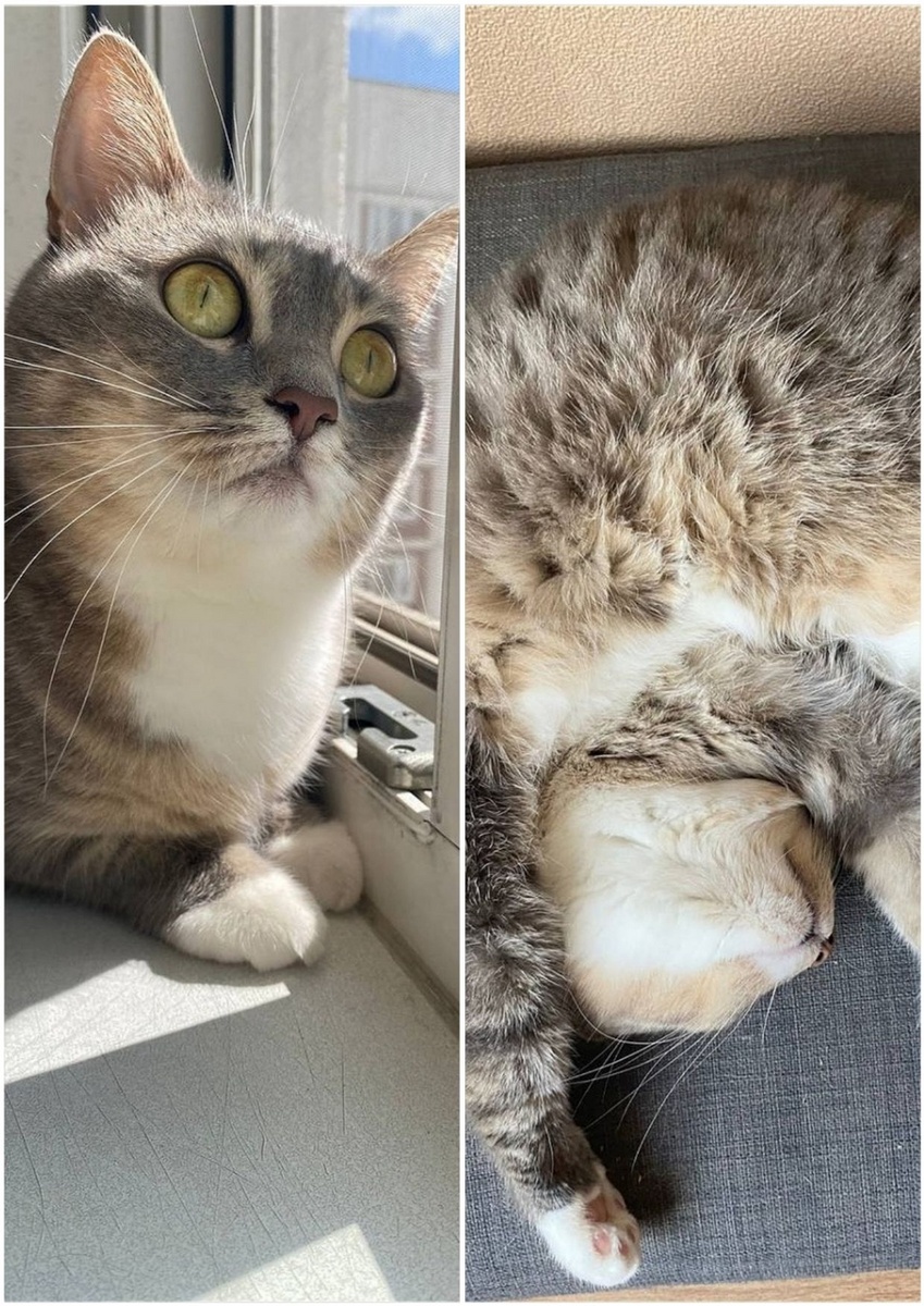 Листайте вправо, чтобы увидеть больше изображений