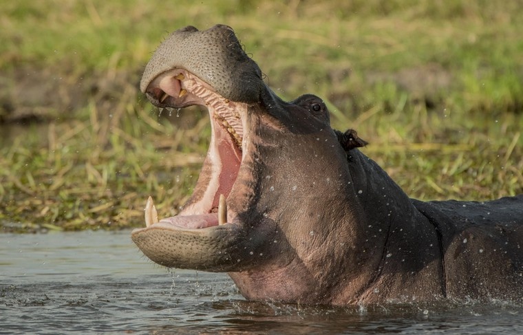    Matthias Graben/imageBROKER.com/Global Look Press