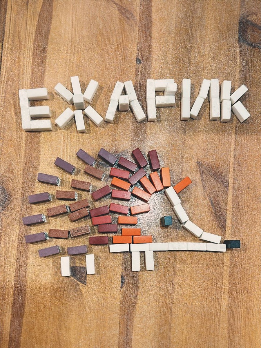 Ежарик из бриксов