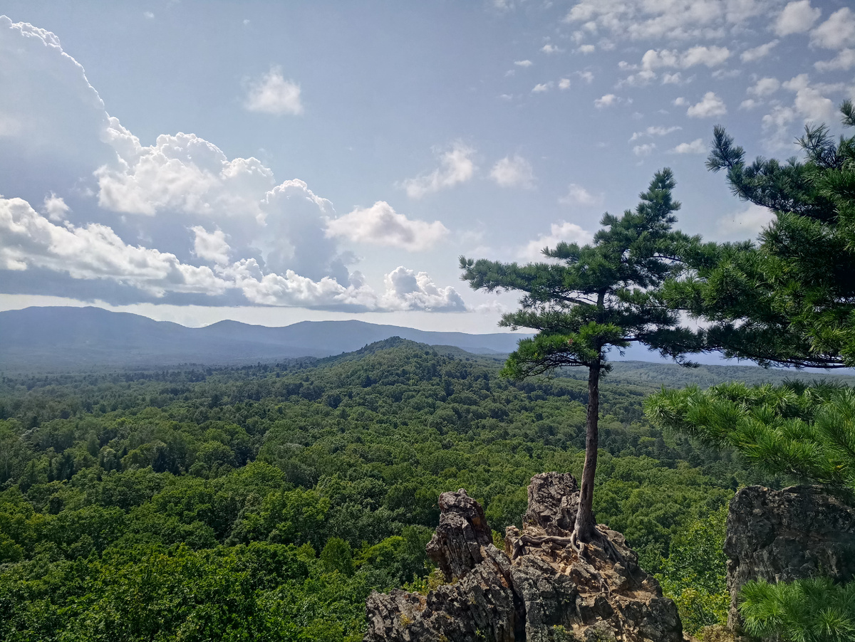 Фото с сопки Змеиная