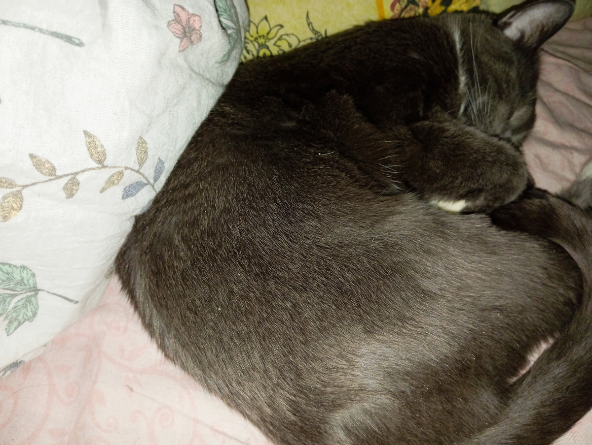 Личное фото автора канала