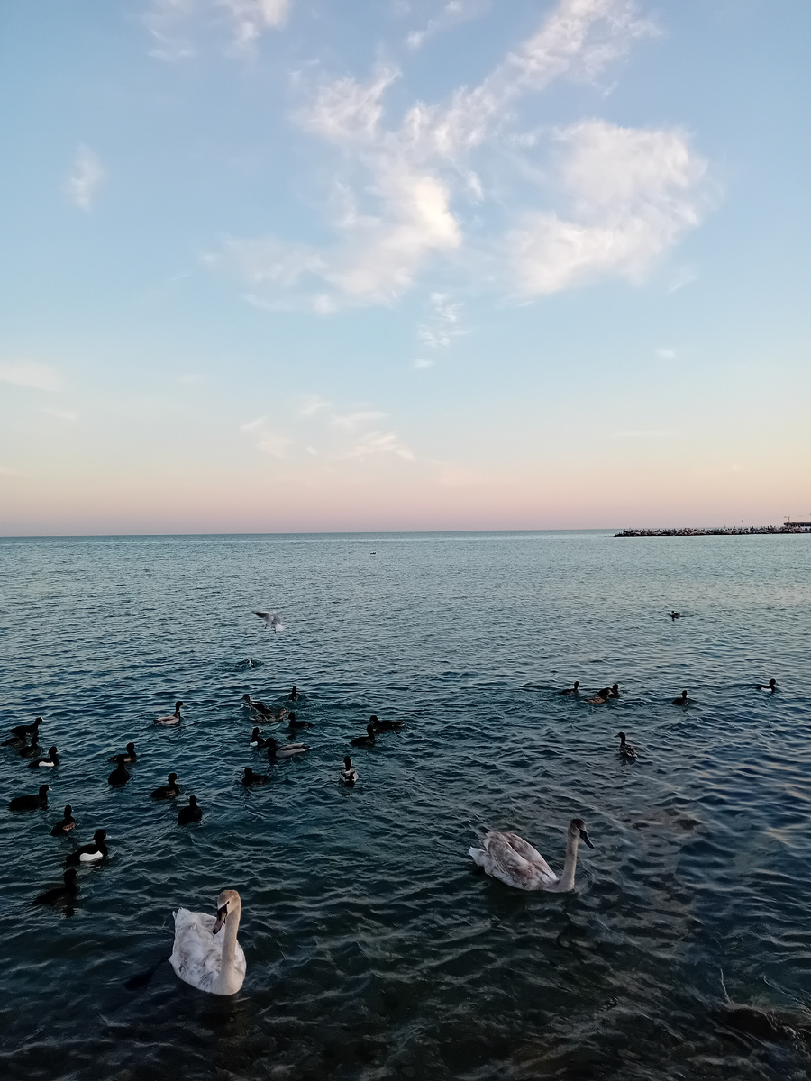 Авторское  фото.