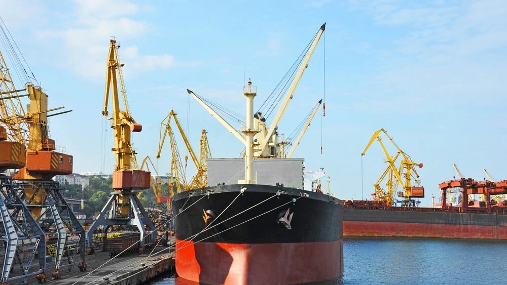    Фото: Unkas Photo/Shutterstock/Fotodom