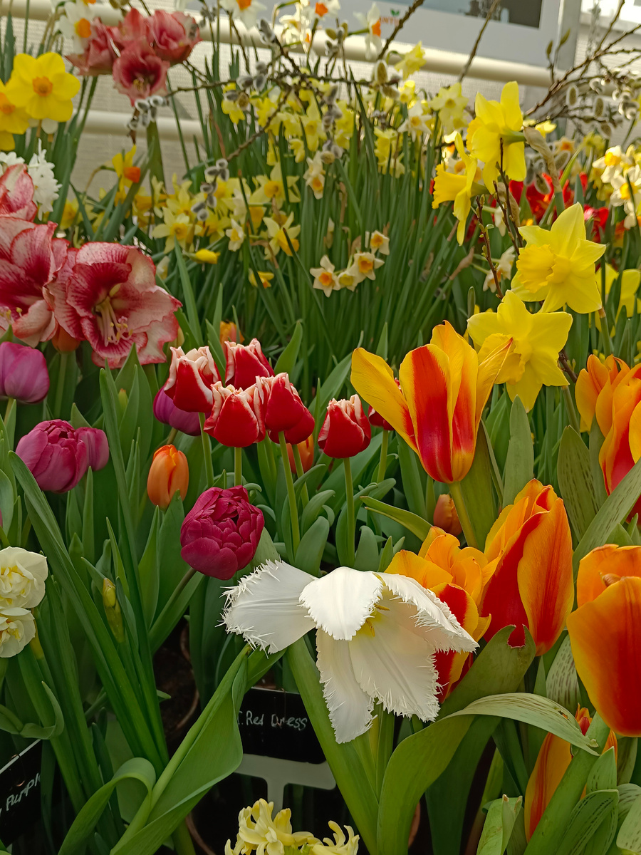 Фото из личного фотоархива