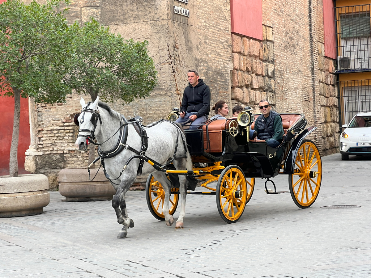 Севилья, Испания. Фото автора 