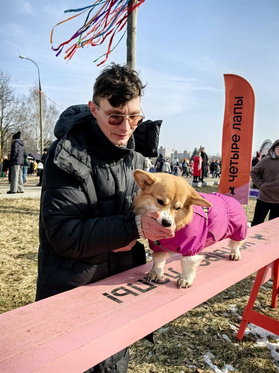 Зона от #4лапы