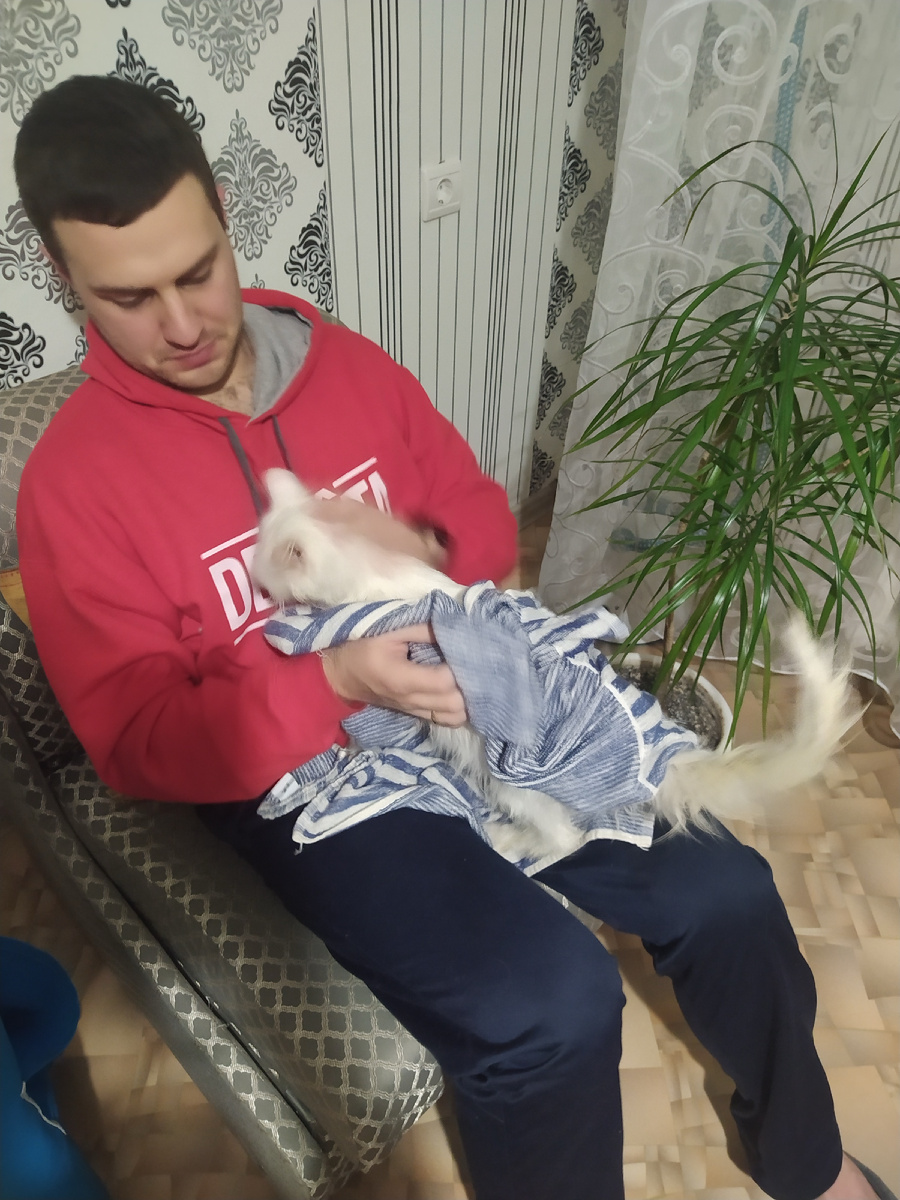 Первый день Кокосика у нас дома. На фото моя шикарная драцена и ещё целое кресло без накидок