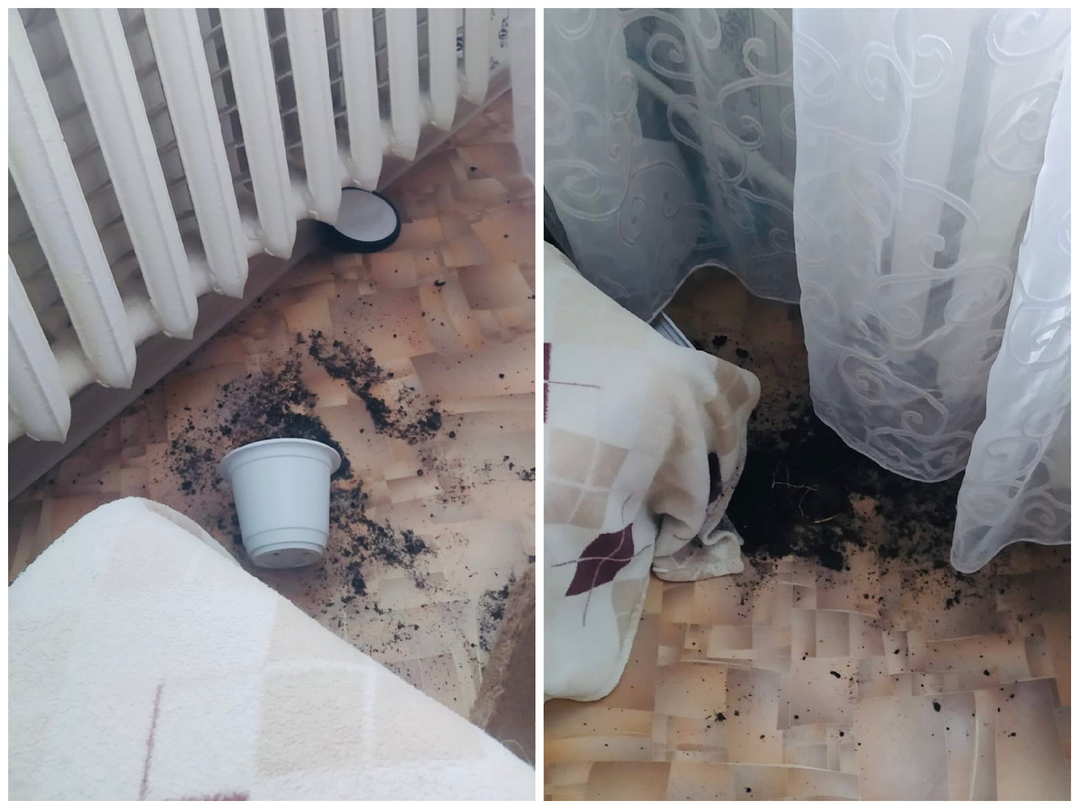 18 января и 26 января 2024